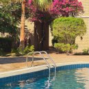 물건가든민박 | 이집트 다합 여행 4일차 네시마리조트 엘가든뷰 맛집 카이로 이동