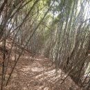 성도리석불입상 이미지