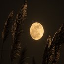 달과별 - 화성시 | 달과별
