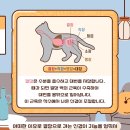 하나동물병원 이미지