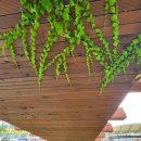 천안천9길 이미지