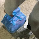 동구문화체육센터 | [수영 고수가 될테야] 인천동구문화체육센터 새벽 수영 강습 신청 성공 후기 + 수린이 필수 준비물