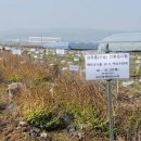 담비농장 이미지