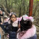 산양2호 | 산양큰엉곶 아이랑 가기 좋을까? 5·6세 제주투어패스 후기