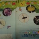 생각나무 홈스쿨 이미지