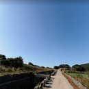 성읍리-25 이미지