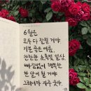 산동칼국수