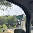 예이제 | [합천 독채 펜션] 합천 감성숙소 예이제 별관 생일여행 내돈내산 후기