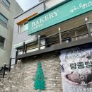 포르피노열세번째이야기 이미지