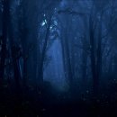 포커당구장 이미지