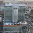 성모반점 이미지