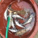 등나무민박 이미지