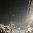 (주)호텔파크하비오 이미지