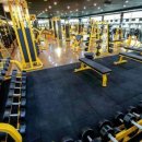 프리덤휘트니스 이미지