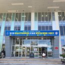 배미수영장 이미지