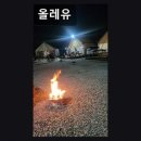 태안-안면-비상-14 | 태안군 자연 속 캠핑장 올레유 숲속 힐링이 가득한 공간