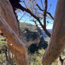 Empress Falls Blue Mts N. P. NSW 21 Feb. 2026 by John Hwang 이미지