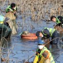 가래치기 이미지