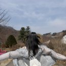 (주)블루윈드 | 마무트 슈퍼라이트자켓 경량 바람막이 후기 아웃도어 윈드브레이커로 딱