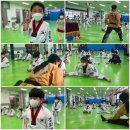 경희대태권쏭 태권도장 네이버블로그