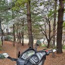 대상디앤에이 | 체감 성능이 우수한 국산 스쿠터 DNA모터스 XQ300 시승 오토바이 전달