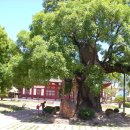 보경사휴게소한식뷔페 이미지