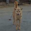 덕구 이미지