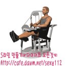 머신 시티드 레그컬 (Machine Seated Leg Curl) - 대퇴 이두근 이미지