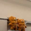 오금로31길 | 방이동 헬스장 스틸짐 개인 pt 컨벤셔널 데드리프트 자세