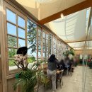 버거베이 | 일광 맛집 숲속 해외 느낌 수제버거 버거베이 후기