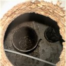 한결약품 이미지