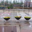 장자대로 이미지