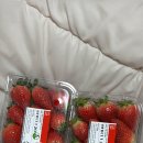 24시전주명가콩나물국밥(송내점) 이미지