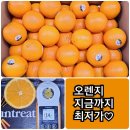 썬 루디아 | ❌❌품절입니다❌❌[최저가 오렌지]🍊⭐비타민 C의 최고!⭐면역력 강화!⭐피로 회복!건강과 맛을 동시에...