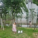 검단 2지구 2호 어린이 공원 이미지
