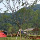 홍천강 오토캠핑장 이미지