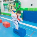 제석태권도 이미지
