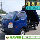 도고양돈 이미지