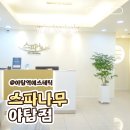 스파나무 야탑점