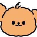 그루밍 애견미용 이미지