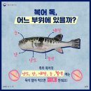 Re: 고복격양 (鼓腹擊壤) *[복어 독]* 이미지