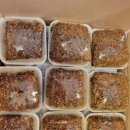 손사부안마센터 이미지