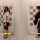 베이스오브바디 이미지