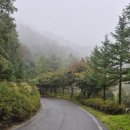 운악산 화장실1 | 포천 운악산자연휴양림 연립동 F동(참나리) 숙소 일박 후기 객실 리뷰