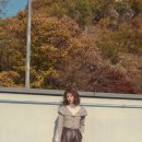 손은서 카카오 검색결과
