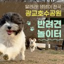 수원-1008 이미지