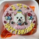 까까멍냐옹 수제간식 | 부산 강아지 생일 케이크,수제간식 후기 (광고x 협찬x 내돈내산 후기)