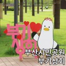 부기상회 이미지