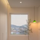 올리브나무 | 청주 올리브나무 배송 후기, 집 분위기 살리는 올리브 플랜테리어