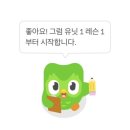 (고급) 일본어회화 | 하루 5분 ‘듀오링고’로 LST 보조 루틴 시작! 영어부터 일본어까지